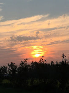 Meet your Posher, Rae